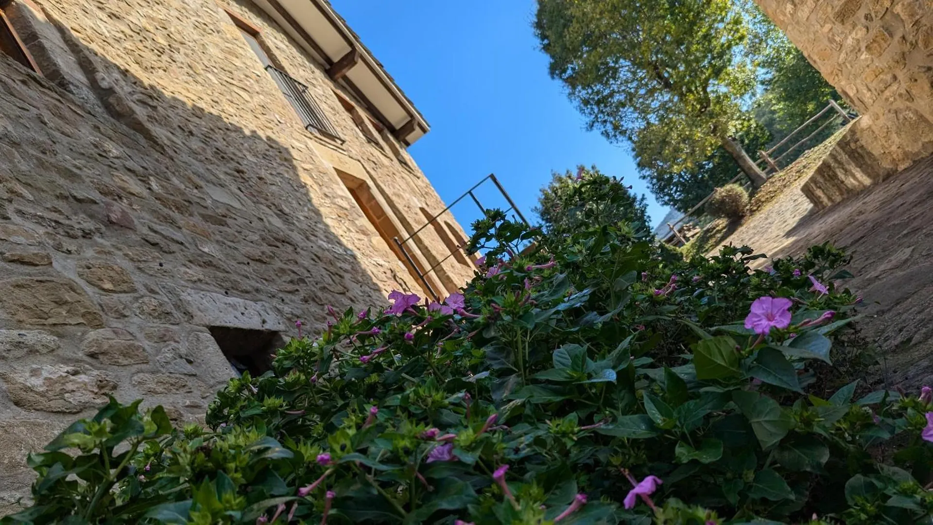 Mas El Carrer Apartment Santa Pau